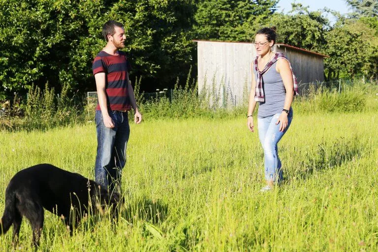 seance d'education canine