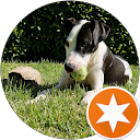 Julien profile picture