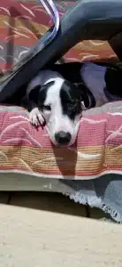 Tiffany, Julien & Opium